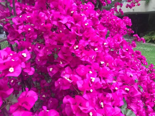 PHOTO-2019-11-08-20-30-52