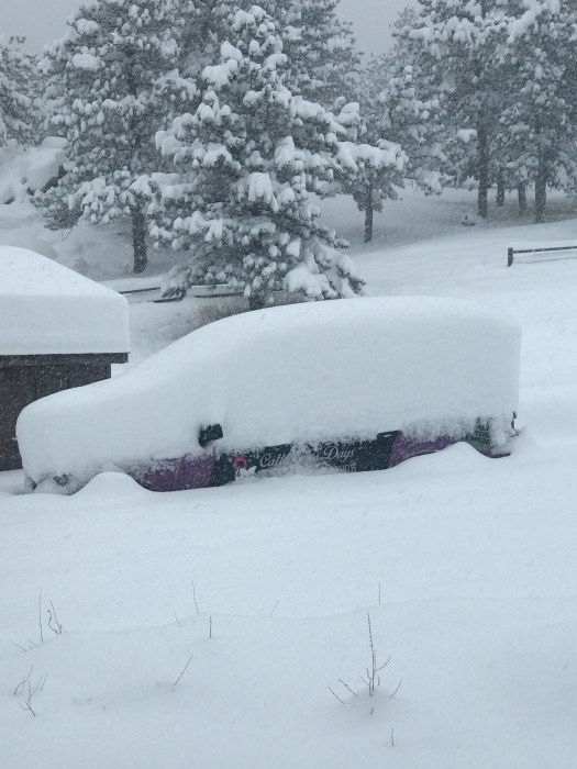 59647156889__267DC61F-D206-4C38-93D6-7D7295DE6781